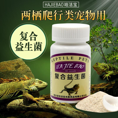 Canxi dạng bột cho bò sát, rùa cảnh, iguana, rồng úc-Bột canxi cho các loại bò sát, ốc mượn hồn, vẹt-Phụ kiện bò sát