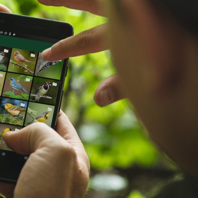 Ống nhòm cao cấp tích hợp camera Swarovski 8x25 dG (truyền hình ảnh, video sang điện thoại)- Hàng chính hãng