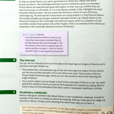 English Idioms In Use Advanced Book With Answers (Vocabulary In Use)