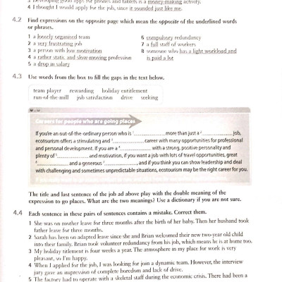 English Vocabulary in Use: Vocabulary Reference and Practice (CD-ROM)