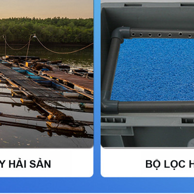 Jmat Không Keo Lọc Nước Hồ Cá | Bùi Nhùi Lọc Bể Cá Cảnh, Hồ Koi Cao Cấp