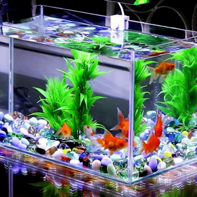 Bột Vitamin tổng hợp 50Gr cho tôm cua cá, hải sản, ếch rùa, lươn, cá sấu ...  bổ sung khoáng chất, tăng đề kháng khi thời tiết thay đổi, môi trường sống mới... 