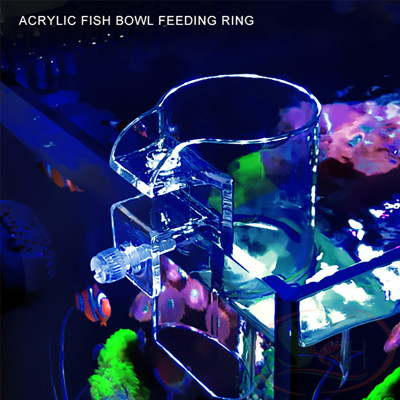 Khay trụ acrylic hít kẹp giữ thức ăn nổi cho cá ăn tầng mặt