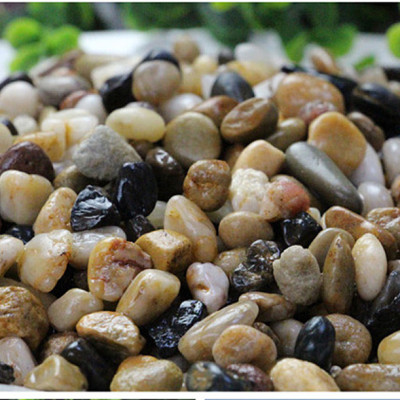 Sỏi Suối 3 Màu (1.2KG, size to ) - Trang Trí Bể Cá, Thủy Sinh, Tiểu Cảnh, Lọc Nước Hiệu Quả 