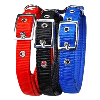 Vòng Cổ Cho Chó XDD (Size M)  - Giao Màu Ngẫu Nhiên