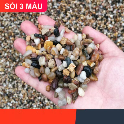 3.8KG Sỏi suối 3 màu trang trí bể cá, hồ thủy sinh, tiểu cảnh, cây cảnh, non bộ, lọc nước hồ cá ( size nhỡ)