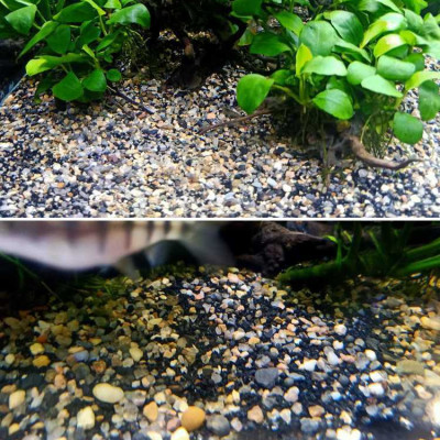 5KG Sạn suối dẹt, sỏi suối thủy sinh tự nhiên, trải nền, trang trí bể cá, tiểu cảnh, hòn non bộ, lọc nước hồ cá