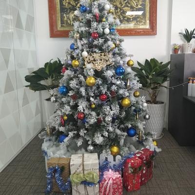 Cây thông noel phủ tuyết  2m4 - Tán dày và đẹp, cây thông chắc chắn và dể tháo lắp