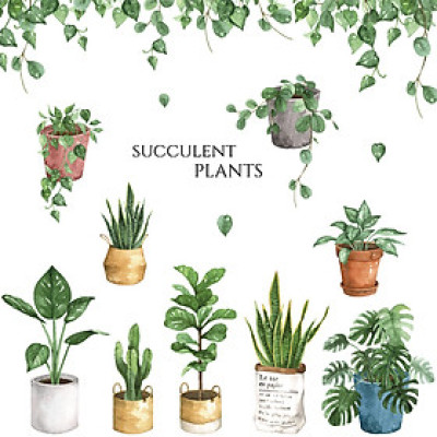 Decal dán tường Sticker dán tường in chất lượng cao có keo mặt sau mẫu Chậu Xương Rồng Vintage ZH71