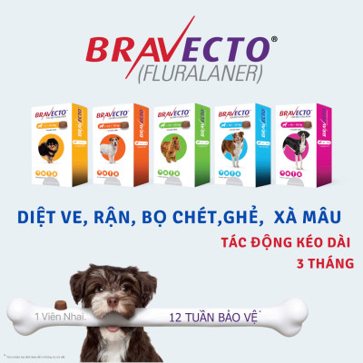 Bravecto Viên nhai vị thịt bò tiêu diệt 100% Ve trong 12 giờ cho chó 2-4.5kg