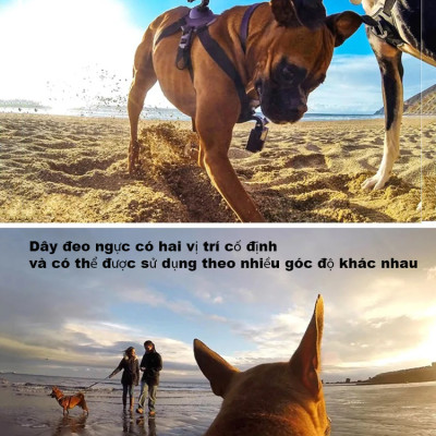 Dây đeo camera hành trình gắn lưng, bụng cho thú cưng Puluz PU156