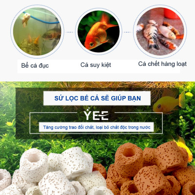 Sứ Lọc Hồ Cá 2.5/3KG vật liệu lọc nước bể cá cảnh, hồ thủy sinh cao cấp 