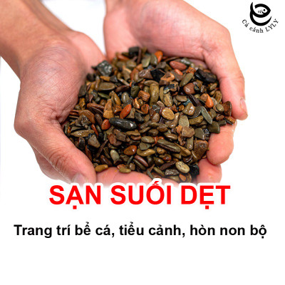 5KG Sạn suối dẹt, sỏi suối thủy sinh tự nhiên, trải nền, trang trí bể cá, tiểu cảnh, hòn non bộ, lọc nước hồ cá