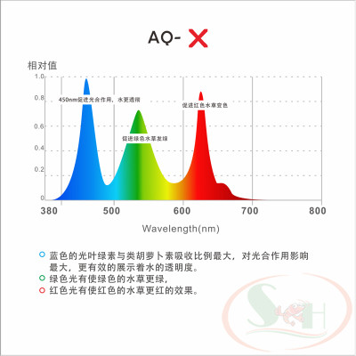 Đèn led LedStar AQ WRGB X series X60 quang phổ trồng cây bể thủy sinh cá tép