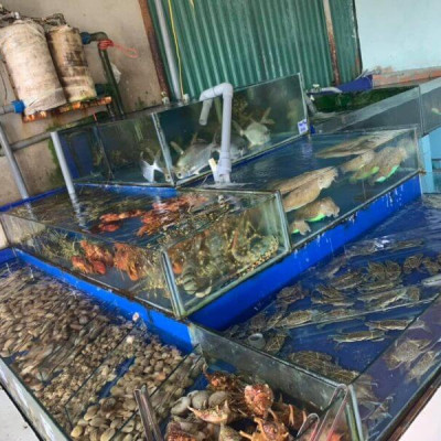 Máy bơm Oxy HAILEA ACO-328 (60w) cho tôm cua cá, hải sản cao cấp