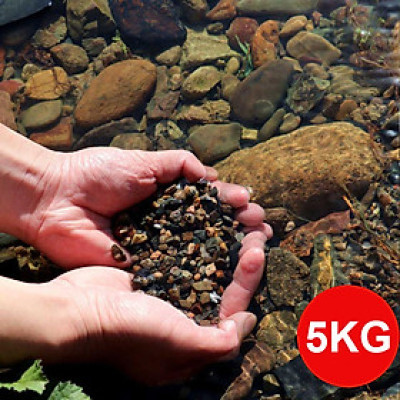 5KG Sạn suối dẹt, sỏi suối thủy sinh tự nhiên, trải nền, trang trí bể cá, tiểu cảnh, hòn non bộ, lọc nước hồ cá