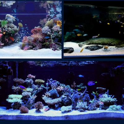 Cát Thạch Anh 2KG + Than Hoạt Tính 1KG vật liệu lọc nước, trang trí bể cá, hồ thủy sinh