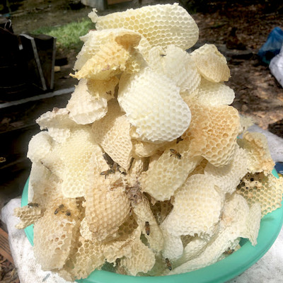 Nến Sáp Ong 79 Giờ Kèm Dĩa Gỗ Dừa 10cm : Khử Mùi Hôi Phòng, Làm Sạch Không Khí, Thơm Nhẹ Mùi Mật Ong - HÀNG CHÍNH HÃNG