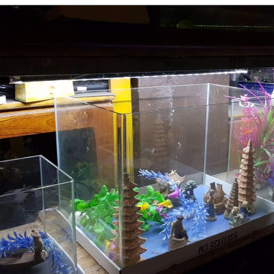 Đèn led bể cá 40 - 50cm YILONG T4-40LED ánh sáng trắng cao cấp