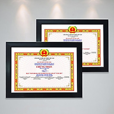 Combo 2 khung ảnh bằng khen khung trơn A4- khung ảnh composite treo tường kèm đinh treo tiện lợi