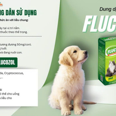 Vemedim Flucozol Dạng Uống hoặc Bôi cho Chó Mèo, Tri Nấm Ngoài Da, Nấm Hô Hấp - Chai 30ml