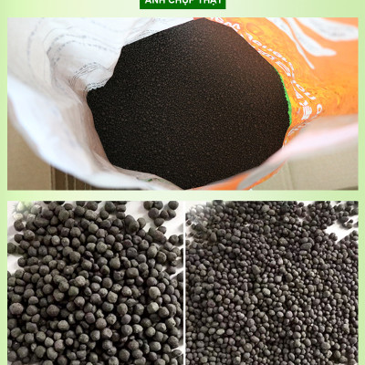 San Hô Vụn túi 1KG + Phân nền thủy sinh SMEKONG II 2KG giàu dinh dưỡng, trang trí bể cá, hồ cá