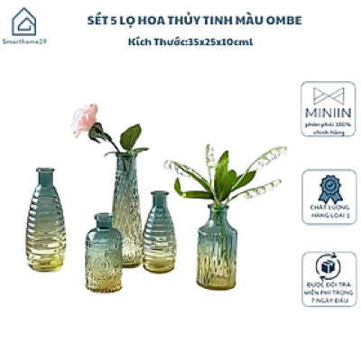 Sét 5 Lọ Hoa Thủy Tinh Basic Phong Cách Bắc Âu Sang Trọng Màu Ombe - HÀNG CHÍNH HÃNG MINIIN