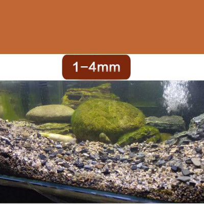 5KG Sạn suối dẹt, sỏi suối thủy sinh tự nhiên, trải nền, trang trí bể cá, tiểu cảnh, hòn non bộ, lọc nước hồ cá