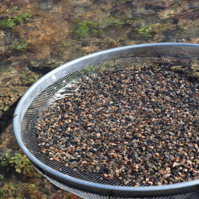 5KG Sạn suối dẹt, sỏi suối thủy sinh tự nhiên, trải nền, trang trí bể cá, tiểu cảnh, hòn non bộ, lọc nước hồ cá