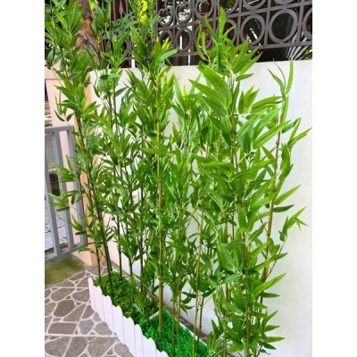 Cây trúc, tre giả - Size từ 120cm đến 200cm - Cây giả, hoa lụa Decor trang trí nhà cửa