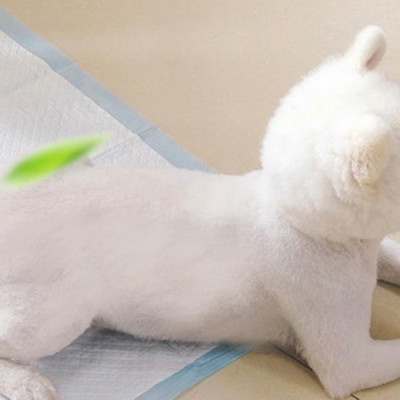 Miếng lót vệ sinh cho thú cưng bộ 10 miếng