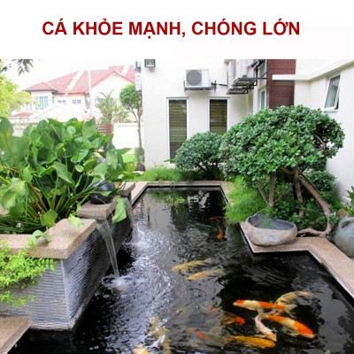 8 Gói Thức Ăn Cá Cảnh, cám Cá Koi hạt nhỡ 3mm (Cho cá size 8cm trở lên) - Nhanh lên size, lên màu, tăng cường sức đề kháng 500Gr