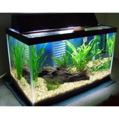 Sỏi Suối 3 Màu (1.2KG, size bé ) - Trang Trí Bể Cá, Thủy Sinh, Tiểu Cảnh, Lọc Nước Hiệu Quả