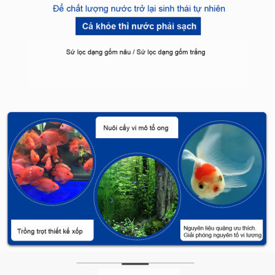 Sứ Lọc Hồ Cá 2.5/3KG vật liệu lọc nước bể cá cảnh, hồ thủy sinh cao cấp 