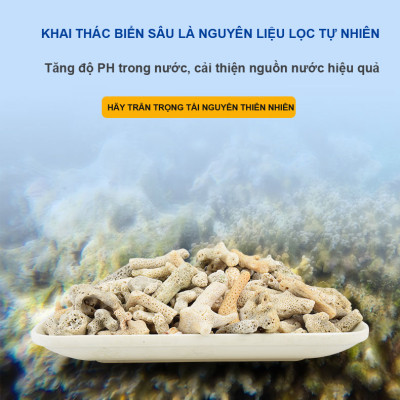 Bông Lọc + San Hô Vụn 1KG vật liệu lọc hồ cá, trang trí bể cá, hồ thủy sinh