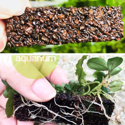 Giá thể trồng cây Thủy Mộc Napad nâu, đen, tròn trơ không dưỡng ươm trồng cây thủy sinh