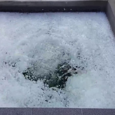 650GR Hạt Kaldnes LOẠI TO vật liệu lọc nước bể cá, tạo oxy hồ thủy sinh cao cấp