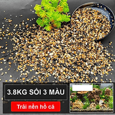 3.8KG Sỏi suối 3 màu trang trí bể cá, hồ thủy sinh, tiểu cảnh, cây cảnh, non bộ, lọc nước hồ cá ( size nhỡ)