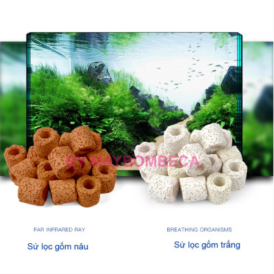 Sứ Lọc Nước Hồ Cá Cải Thiện Bổ Sung Khoáng Chất Và Duy Trì Chất Lượng Nước Tốt