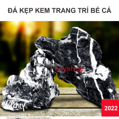 5KG Đá Kẹp Kem Thủy Sinh ( Size 4-25cm) | Trang Trí Bể Cá, Non Bộ May Mắn