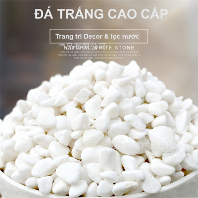Sỏi trắng, đá trắng 1.2KG cao cấp, trang trí chậu cây, hồ cá, bể cá, tiểu cảnh, hòn non bộ thủy sinh, cây cảnh