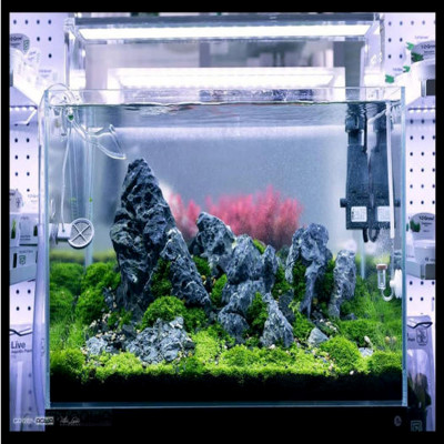 5KG Đá Kẹp Kem siêu đẹp làm thác cát, trang trí bể cá, hồ cá thủy sinh, làm tiểu cảnh đem lại may mắn gia chủ