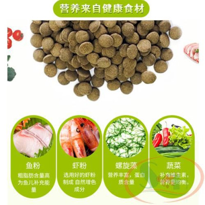 Thức ăn cá Biozym Benthic Food Tablet viên tảo chìm tầng đáy bể cá tép cảnh