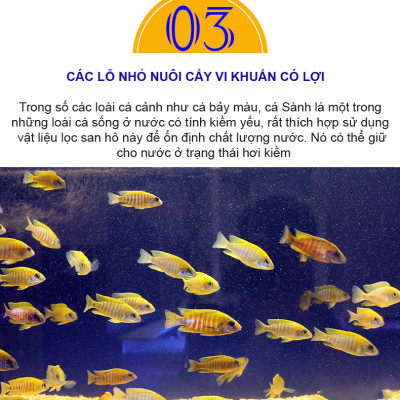 Bông Lọc + San Hô Vụn 1KG vật liệu lọc hồ cá, trang trí bể cá, hồ thủy sinh