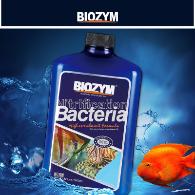Vi sinh nước Biozym Nitrifying Bacteria đậm đặc xử lý nước bể thủy sinh cá tép cảnh
