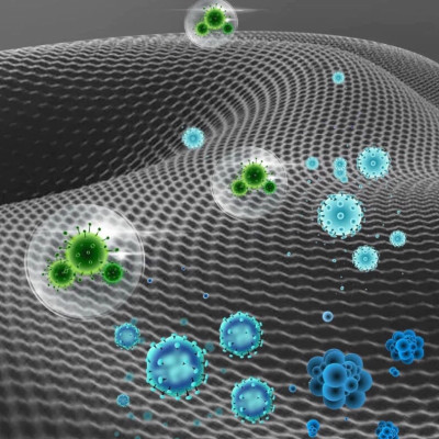 Bông Lọc Bể Cá 8D | 8 Lớp Lọc Nước Siêu Sạch, Hiệu Quả Gấp Đôi