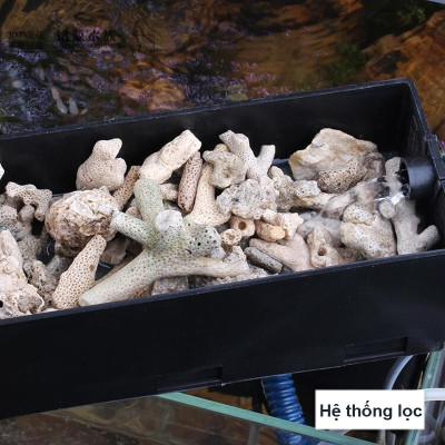 Bông Lọc + San Hô Vụn 1KG vật liệu lọc hồ cá, trang trí bể cá, hồ thủy sinh
