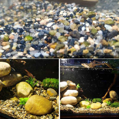 5KG Sạn suối dẹt, sỏi suối thủy sinh tự nhiên, trải nền, trang trí bể cá, tiểu cảnh, hòn non bộ, lọc nước hồ cá