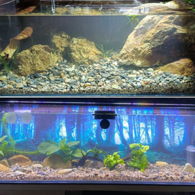 5KG Sạn suối dẹt, sỏi suối thủy sinh tự nhiên, trải nền, trang trí bể cá, tiểu cảnh, hòn non bộ, lọc nước hồ cá