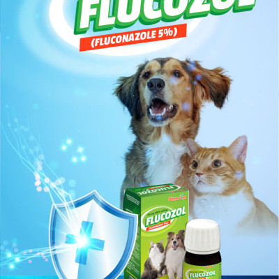 Vemedim Flucozol Dạng Uống hoặc Bôi cho Chó Mèo, Tri Nấm Ngoài Da, Nấm Hô Hấp - Chai 30ml